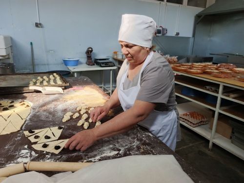Делегация Минэкономики РТ оценила промышленный потенциал Нурлатского района