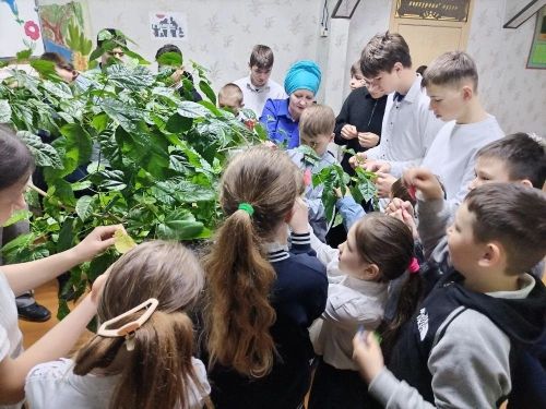 В Кульбаево-Марасинской школе стартовала Неделя Психологии