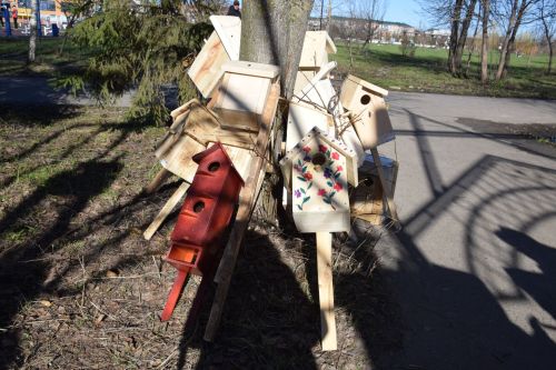 В Нурлате встретили весну «Птичьим новосельем»: скворечники получили прописку в Центральном парке