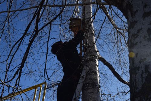 В Нурлате встретили весну «Птичьим новосельем»: скворечники получили прописку в Центральном парке