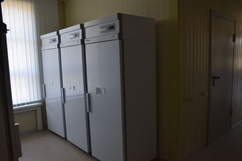 Дамир Ишкинеев рабочую планерку провел в лагере