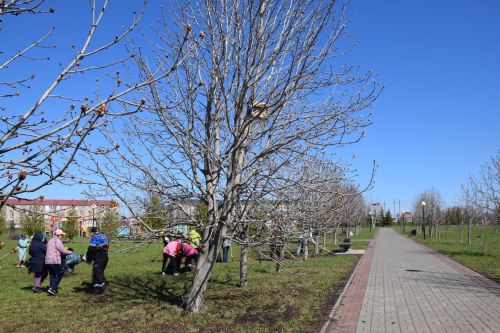 На субботник в парк вышли нурлатские общественники