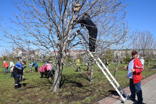 На субботник в парк вышли нурлатские общественники