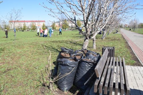 На субботник в парк вышли нурлатские общественники