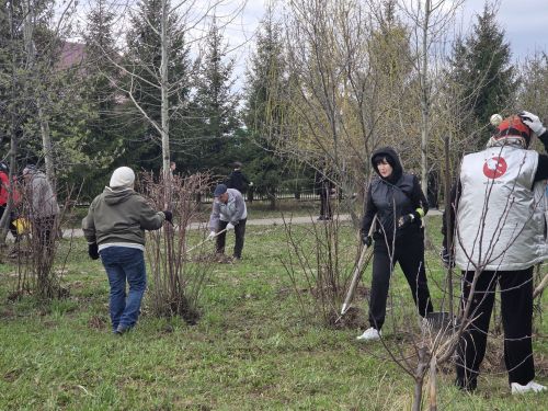 В Нурлате прошла акция «Доброе сердце – чистый парк»: более 300 участников и 400 мешков мусора