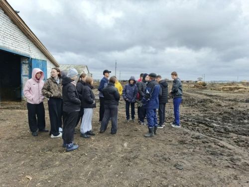 Школьники Егоркинской школы увидели ферму будущего на МТФ «Аграрий»