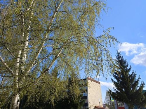 Календарь праздников на 24 апреля 2026 года