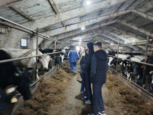Школьники Егоркинской школы увидели ферму будущего на МТФ «Аграрий»