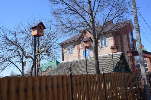 Сказочный дом в центре города: сад камней, десятки скворечников и коллекция чайников семьи Кузьминых