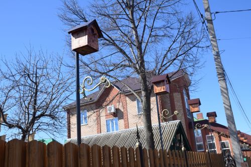 Сказочный дом в центре города: сад камней, десятки скворечников и коллекция чайников семьи Кузьминых