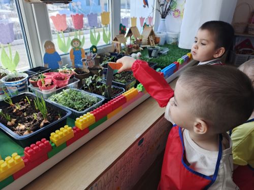 «Огород на подоконнике» в группе «Крепыши»: чудо рождения жизни