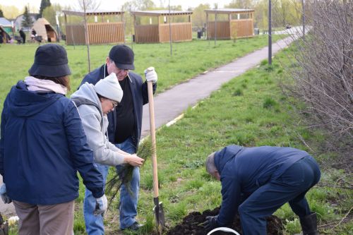 Глава Нурлатского района Дамир Ишкинеев высадил кедры и голубые ели в парке «Кондурча»