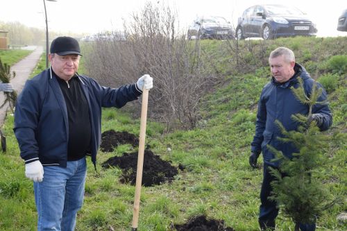 Глава Нурлатского района Дамир Ишкинеев высадил кедры и голубые ели в парке «Кондурча»