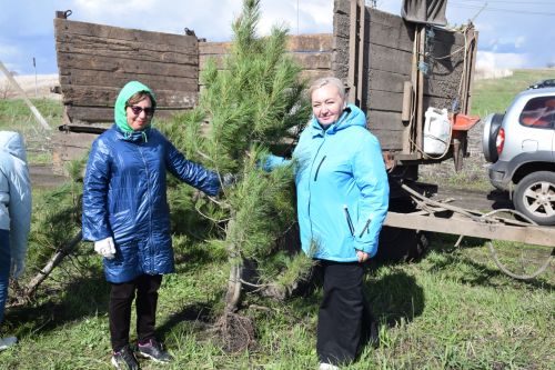 Ландшафтный парк «Кондурча» преобразился: в Нурлате прошел масштабный субботник