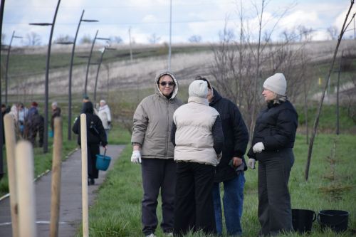 Глава Нурлатского района Дамир Ишкинеев высадил кедры и голубые ели в парке «Кондурча»