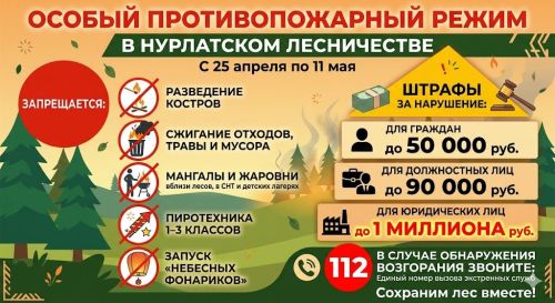 Особый противопожарный режим в Нурлатском лесничестве: запреты и штрафы до 1 млн рублей