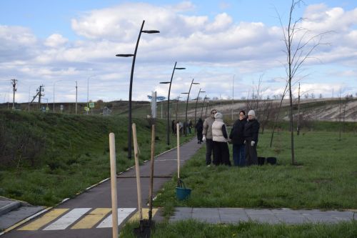 Глава Нурлатского района Дамир Ишкинеев высадил кедры и голубые ели в парке «Кондурча»