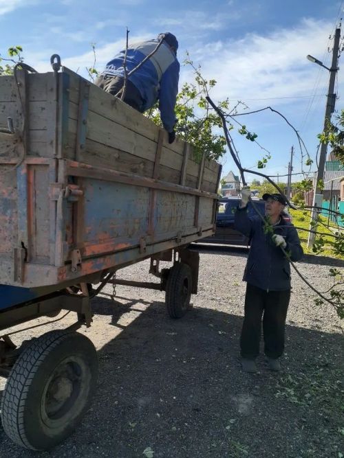 Жители микрорайона Курмыш провели традиционный субботник