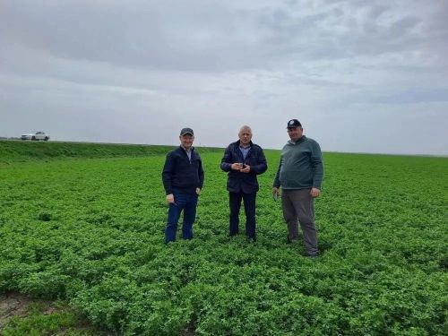 Нурлатский район подтвердил полную готовность к сезону кормозаготовок