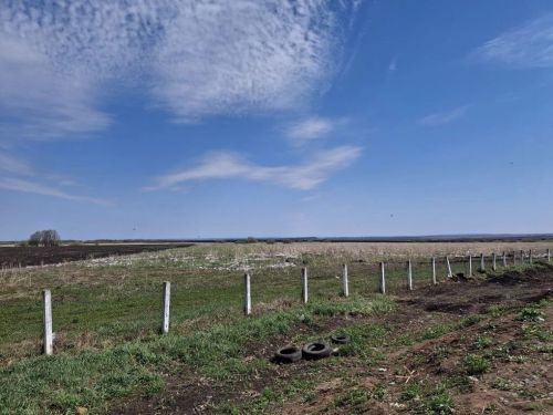 Итоги проверки мусорного полигона в РТ: пробы грунта и прокурорское реагирование