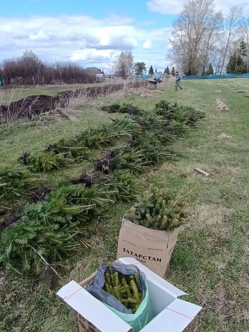 В селе Степное Озеро заложили новый парк