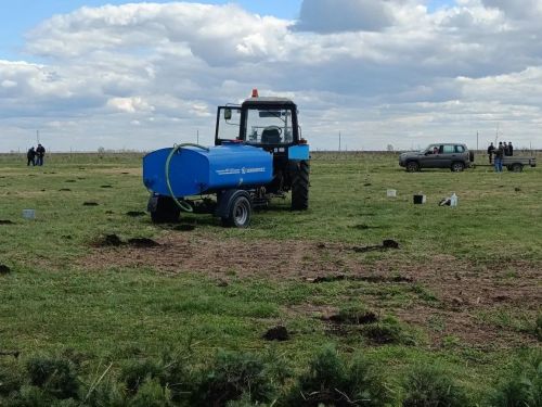 В селе Степное Озеро заложили новый парк
