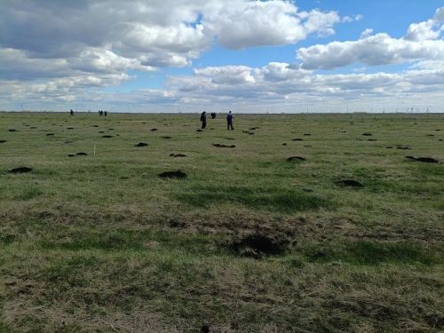 В селе Степное Озеро заложили новый парк