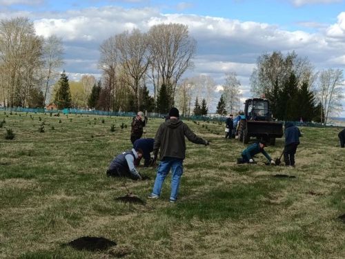 В селе Степное Озеро заложили новый парк