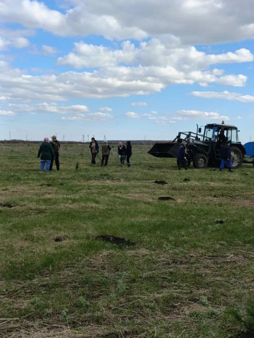 В селе Степное Озеро заложили новый парк