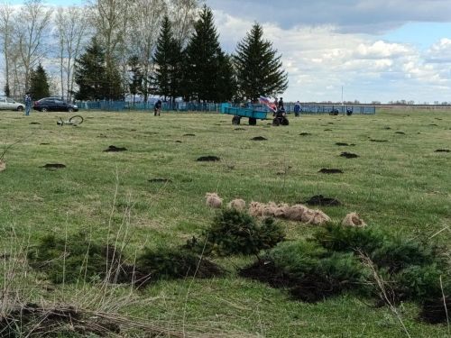 В селе Степное Озеро заложили новый парк