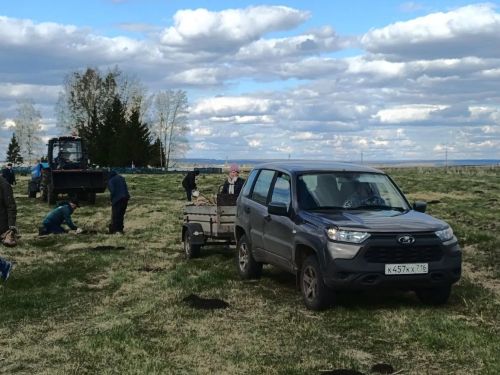 В селе Степное Озеро заложили новый парк