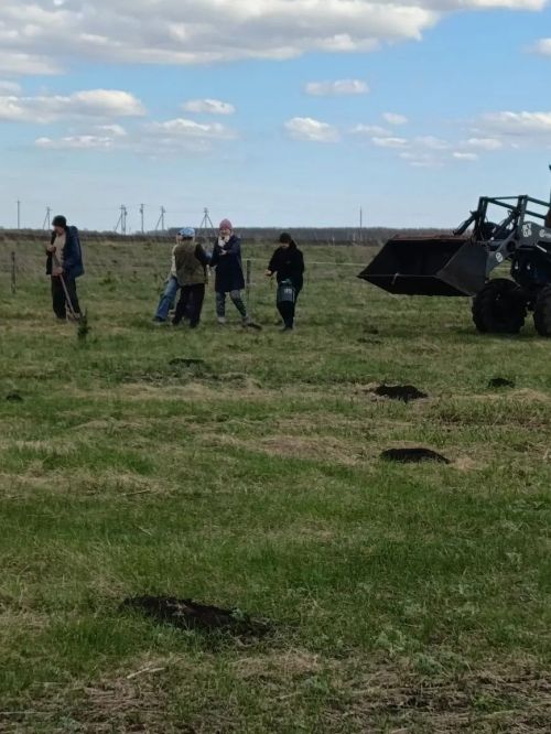 В селе Степное Озеро заложили новый парк