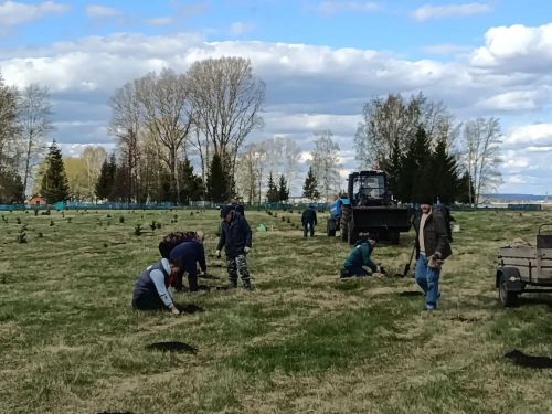 В селе Степное Озеро заложили новый парк