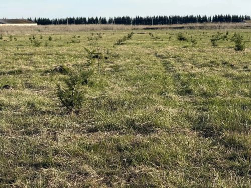 В селе Степное Озеро заложили новый парк