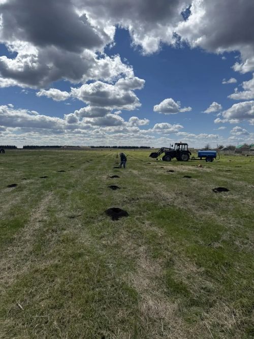 В селе Степное Озеро заложили новый парк