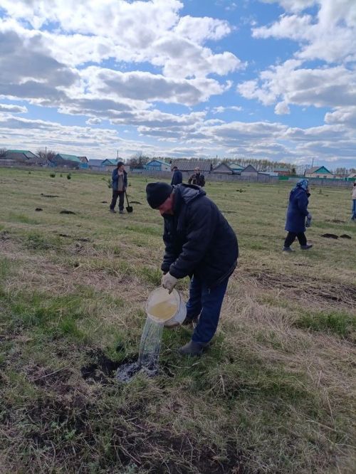 В селе Степное Озеро заложили новый парк