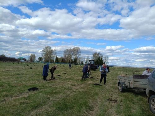 В селе Степное Озеро заложили новый парк