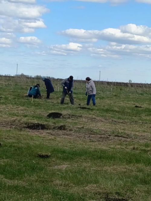 В селе Степное Озеро заложили новый парк