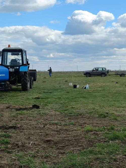В селе Степное Озеро заложили новый парк