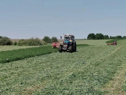 Нурлат районы хуҗалыкларында азык әзерләү кампаниясе башланып китте