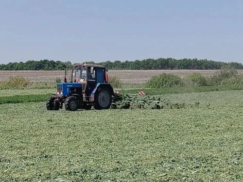 Нурлат районы хуҗалыкларында азык әзерләү кампаниясе башланып китте