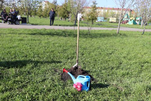 В Нурлате заложили аллею «7Я»: живой символ единства поколений