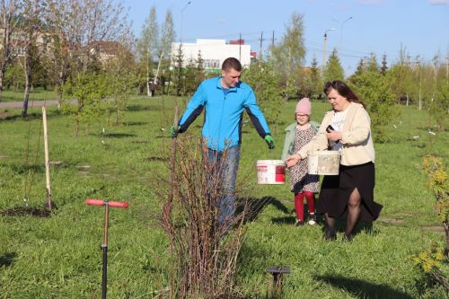 В Нурлате заложили аллею «7Я»: живой символ единства поколений