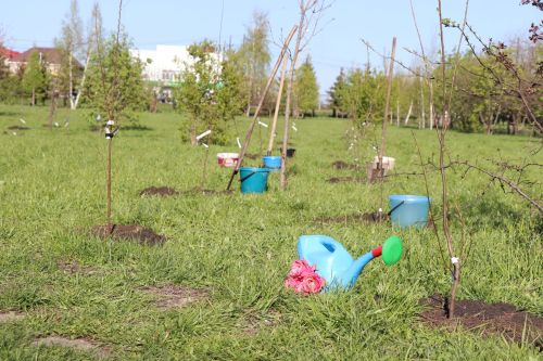 В Нурлате заложили аллею «7Я»: живой символ единства поколений
