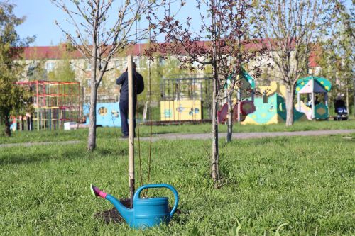 В Нурлате заложили аллею «7Я»: живой символ единства поколений