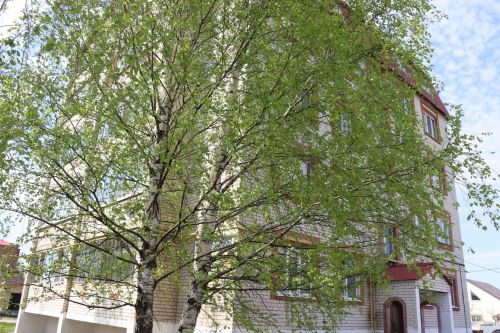 Низкий поклон ветерану: в Нурлате чествуют Антонину Андреевну Агапову