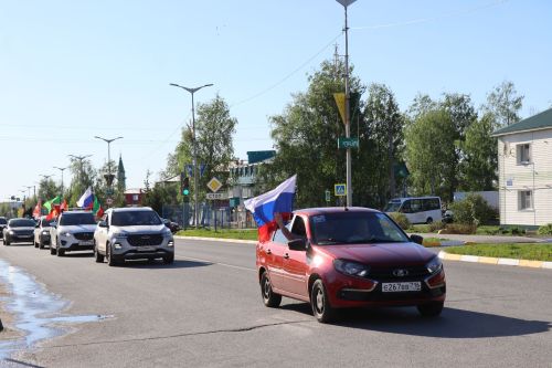 Нурлатцы провели автопробег в честь 81-й годовщины Великой Победы