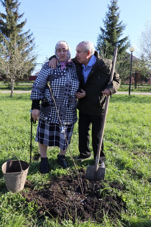 Нурлатта Гаилә аллеясе утырттылар