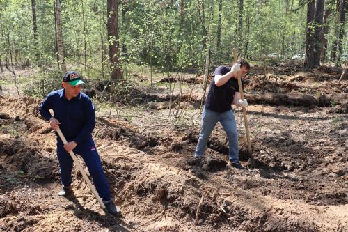 Сотрудники Госкомитета РТ по тарифам высадили свыше 1000 елей в Лаишевском районе