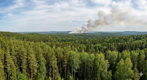 Экстренное предупреждение на 13 июня 2026 года: туман, гроза, шквалистый ветер и град в Татарстане